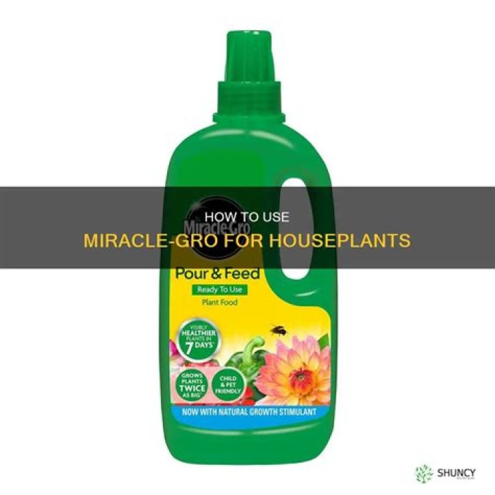 Why can I use Miracle Grow in pots