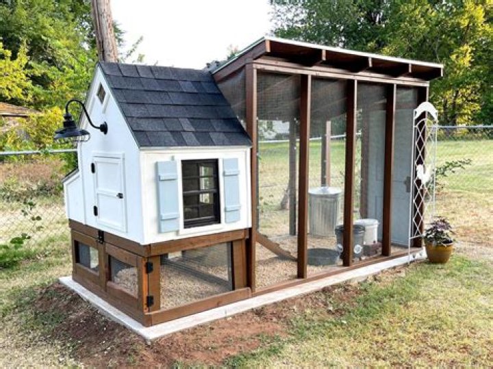 Why do they call it a chicken coop