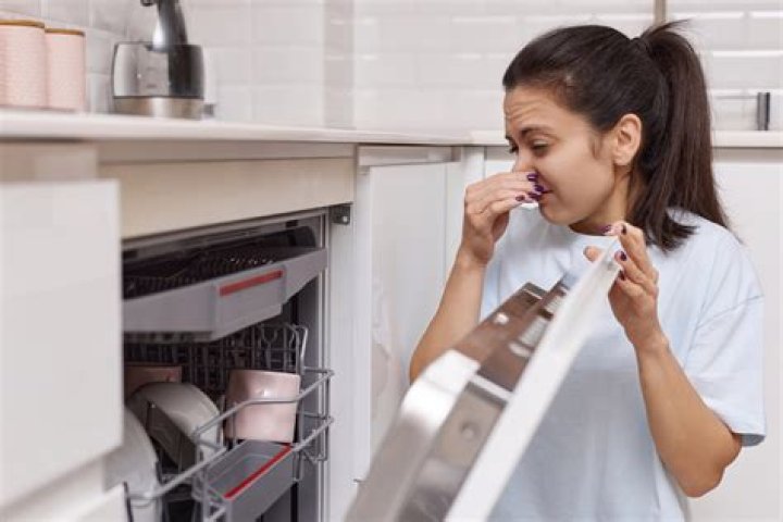 Why does my Samsung dishwasher smell