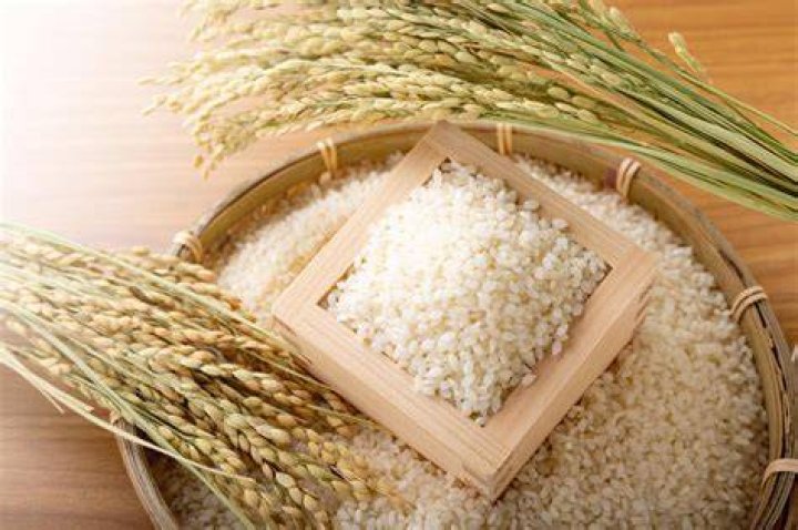 Why is rice a staple food in Asia
