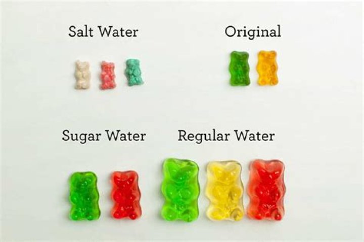 Why would a gummy bear shrink in salt water