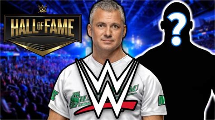 Will Shane McMahon take over WWE